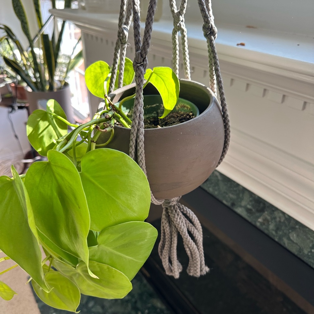 Macrame Gray Hanging Planter